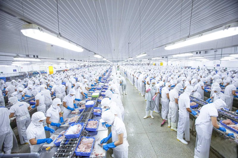如何成为供应链管理师：从零开始的系统规划