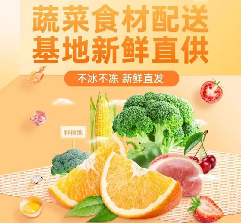 如何建立有效的食品配送退换货方案？
