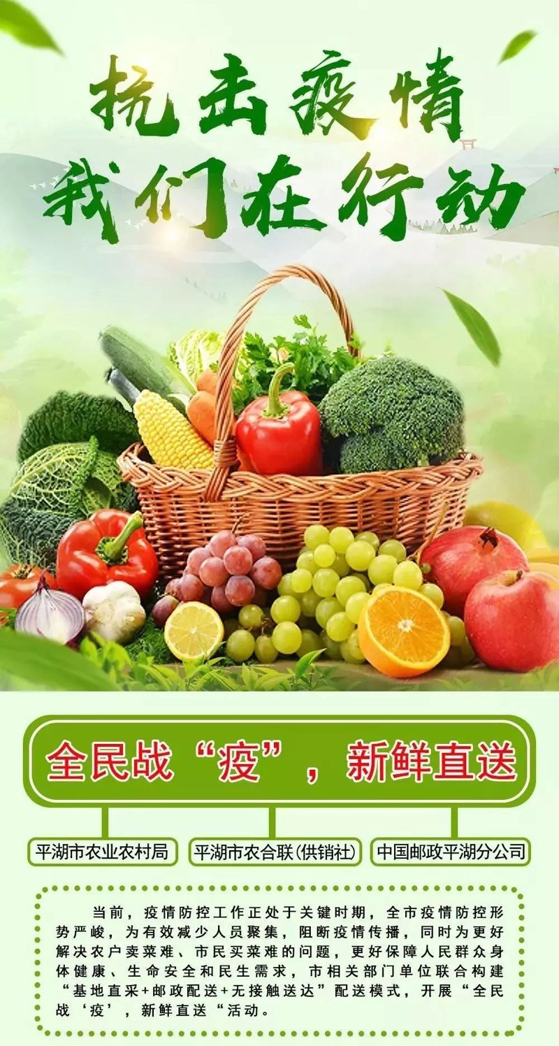 蔬菜直供